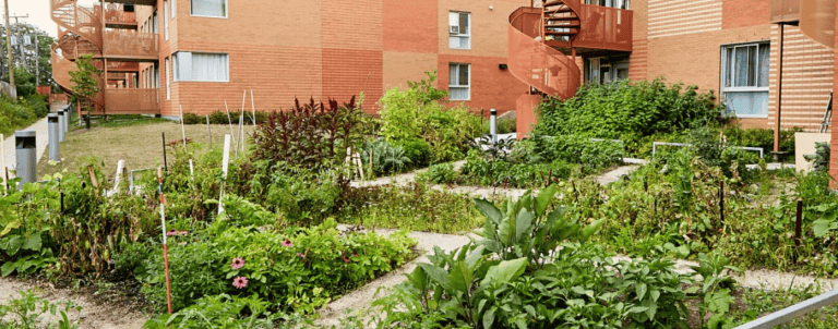 The ecological transition at the heart of the revision of urban planning regulations at VSP