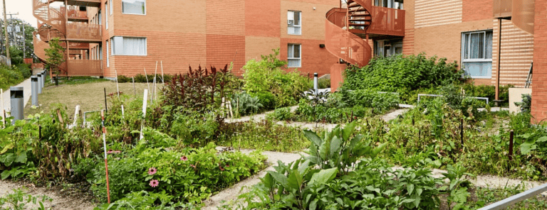 The ecological transition at the heart of the revision of urban planning regulations at VSP
