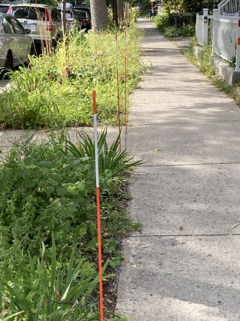 Protecting Tree Squares in Park-Extension: A Call for Community Action