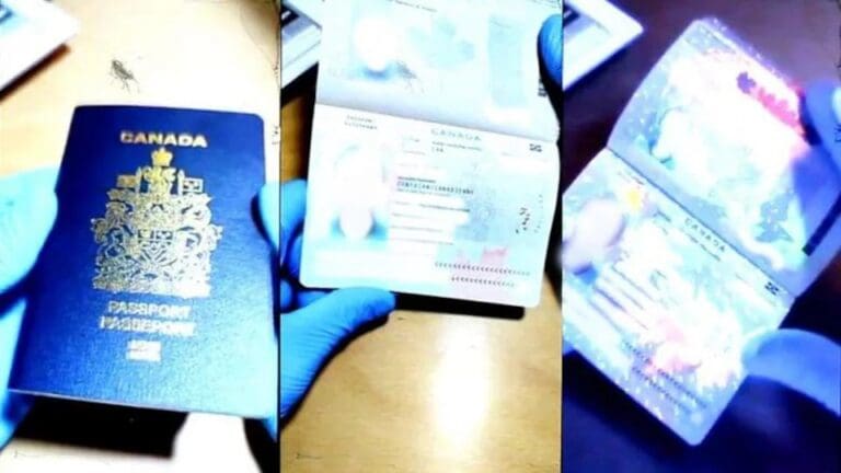 Massive counterfeit ID operation uncovered in Parc-Extension