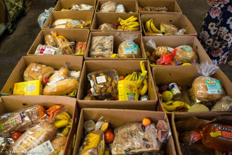 Rising grocery prices deepen food insecurity in Parc-Extension